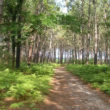 Maison Entre Plages Et Forets Dom wakacyjny *
