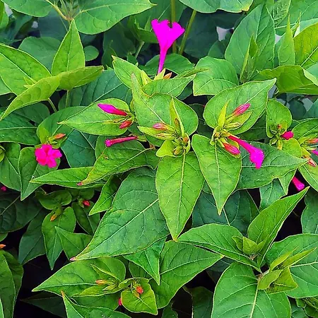 度假居 Maison Entre Plages Et Forets