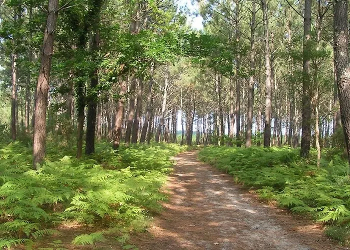 Maison Entre Plages Et Forets Vakantiehuis *